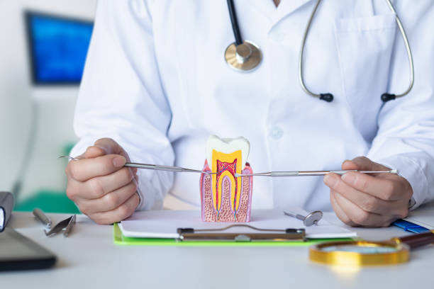 Best Emergency Broken Tooth Repair in Brookville, NY